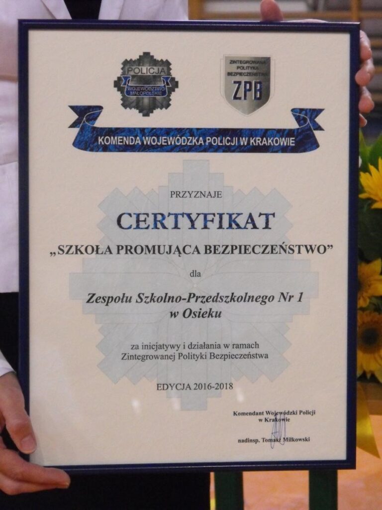 Zintegrowana polityka bezpieczeństwa szkoła promująca bezpieczeństwo